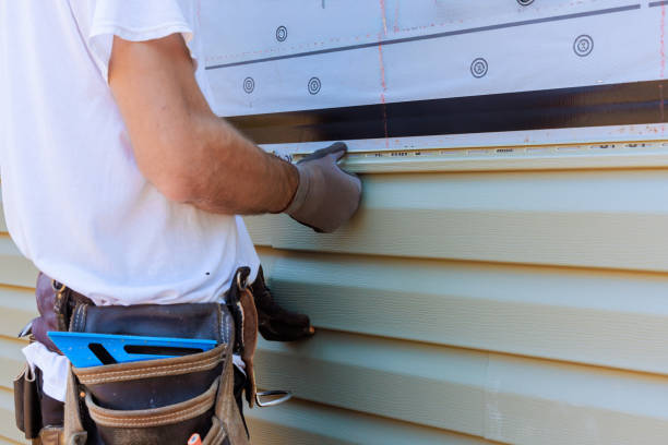 Affordable Siding Replacement solutions in Mount Vernon, GA